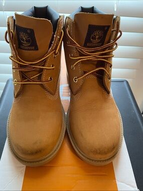Waterproof Boy Timberland Boots in Wheat Brown 2.5 Youth